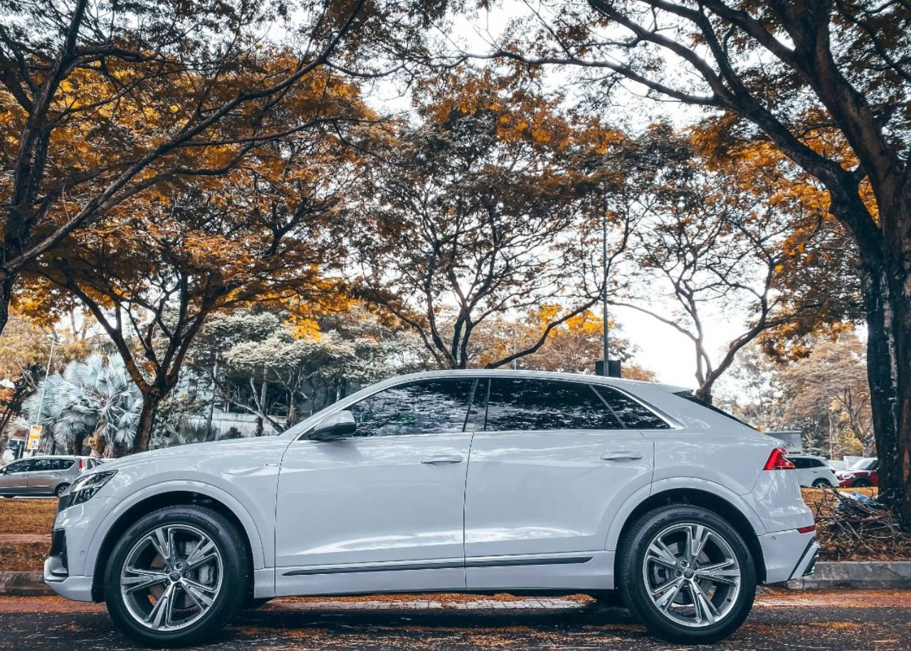 AUDI Q8 左边门